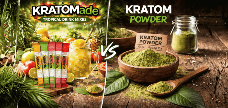 Kratom Powder vs Drink Mixes: Which Option Is Better for You?