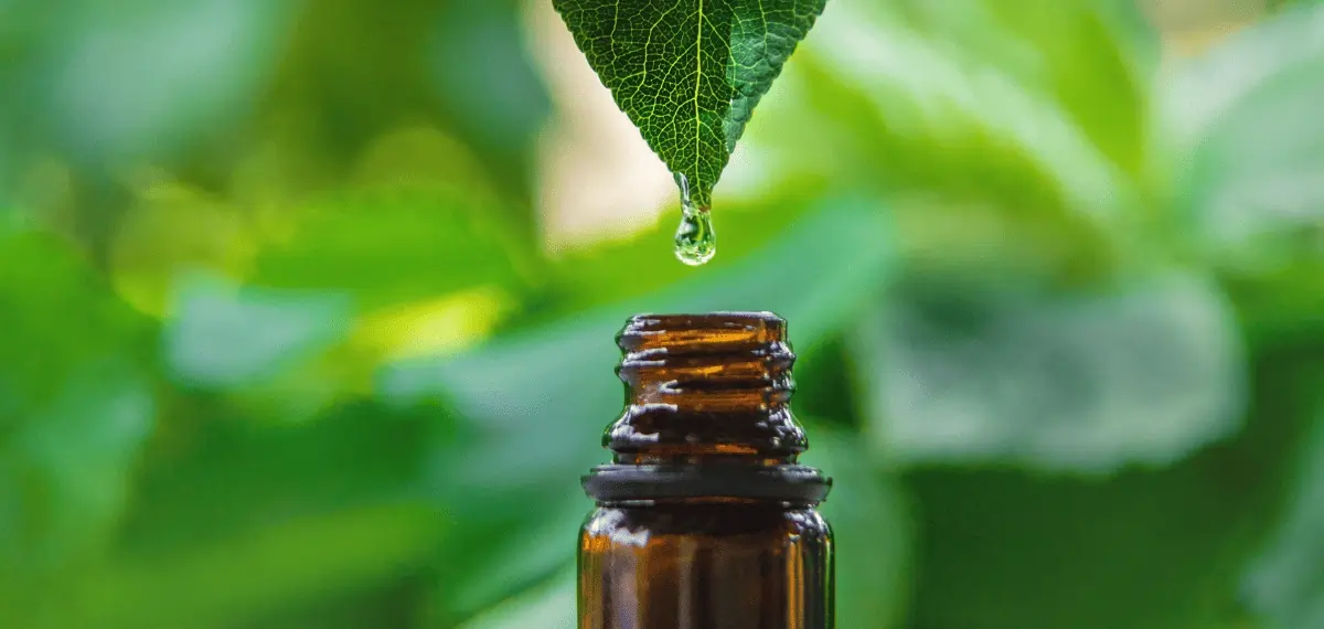 Are Kratom drinks natural?