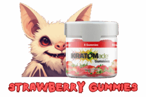 Strawberry and Bat Final