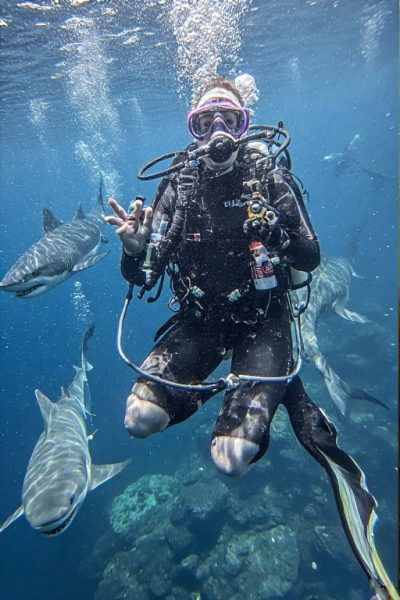 It's Shark Week!