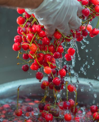 Ripe Cherries